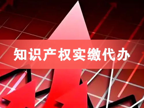 南京知识产权实缴资本代办